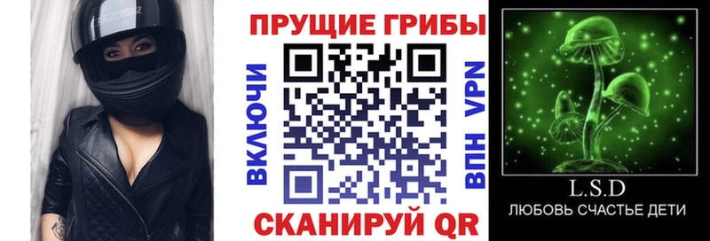 Псилоцибиновые грибы Psilocybine cubensis  Купить  Гай 
